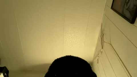 Snapshot of bigdickywn chatting on 07-05-26, 04:30 bigdickywn online show from 07-05-26, 04:30