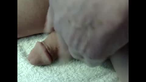 Snapshot of bigdipper58 chatting on 02-23-25, 05:18 bigdipper58 online show from 02-23-25, 05:18