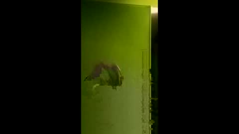 bigdog9thick online show from 04-06-26, 08:04