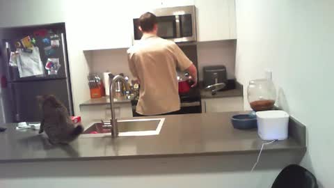 Snapshot of bigdog_112 chatting on 10-01-25, 09:54 BigWilly online show from 10-01-25, 09:54