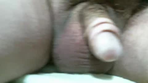 Snapshot of bigdoglog chatting on 11-11-25, 07:03 BigDog online show from 11-11-25, 07:03
