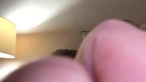 biggloves4bighands online show from 11-16-25, 12:05