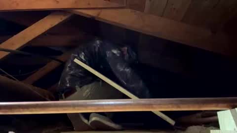 bigjim6646 online show from 09-21-25, 03:02