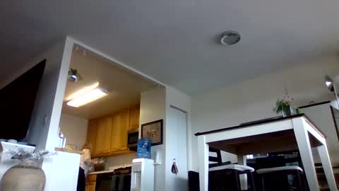 bigjoed233 online show from 01-10-26, 03:47