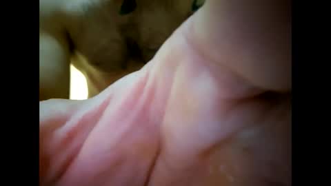 Snapshot of bigjoeyblow chatting on 11-01-25, 06:37 bigjoeyblow online show from 11-01-25, 06:37