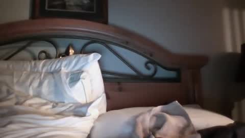 Snapshot of bigload1972 chatting on 01-22-25, 03:09 bigload1972 online show from 01-22-25, 03:09