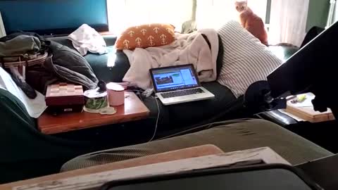 bigmanaround9 online show from 02-03-25, 09:07