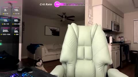 Nick Barker online show from 02-03-26, 02:53