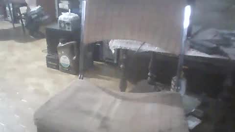 bigpenix online show from 02-15-26, 01:13