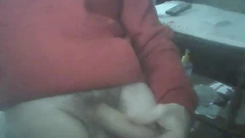 Snapshot of bigpenix chatting on 06-06-26, 01:32 bigpenix online show from 06-06-26, 01:32
