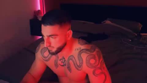 Snapshot of bigsnakeman1995 chatting on 11-22-25, 02:49 Gogo online show from 11-22-25, 02:49