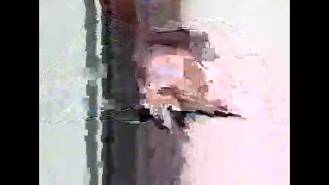 Snapshot of bigtrozo chatting on 06-08-26, 04:29 bigtrozo online show from 06-08-26, 04:29