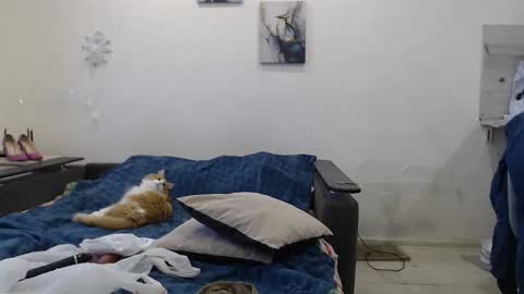 Snapshot of bigtwinsomg chatting on 11-18-25, 06:40 BigTwinsOmg online show from 11-18-25, 06:40