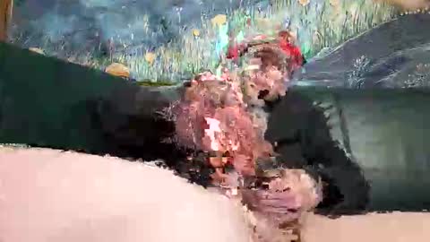 bigwytecock1979 online show from 04-19-26, 06:32