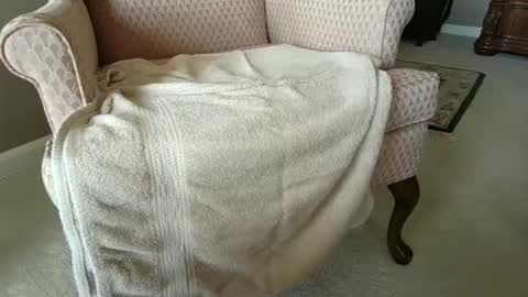 Snapshot of billernest99 chatting on 10-01-25, 05:52 billernest99 online show from 10-01-25, 05:52