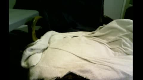 Snapshot of bimale4hotphuk chatting on 02-20-25, 09:44 bimale4hotphuk online show from 02-20-25, 09:44