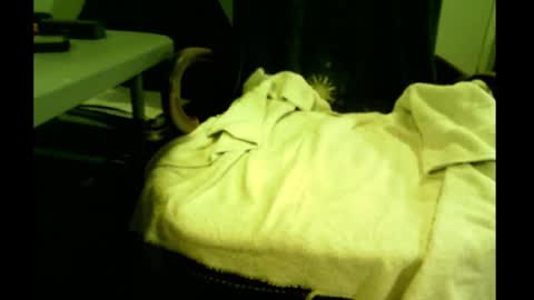 Snapshot of bimale4hotphuk chatting on 02-21-25, 07:45 bimale4hotphuk online show from 02-21-25, 07:45