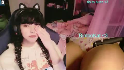 BimboCat online show from 07-01-26, 10:53