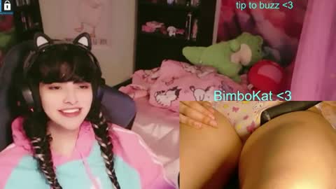BimboCat online show from 07-07-26, 08:24