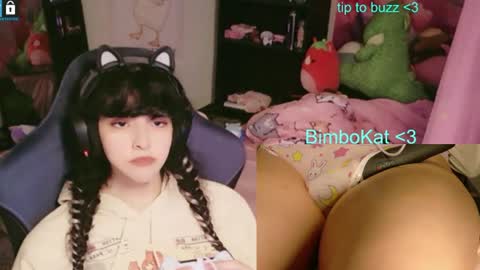 BimboCat online show from 07-10-26, 11:18