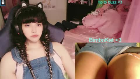 BimboCat online show from 07-31-26, 09:58