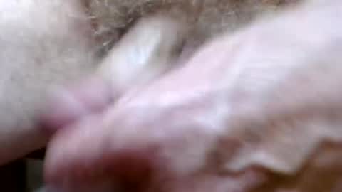 Snapshot of bitexan69 chatting on 09-20-25, 09:21 bitexan69 online show from 09-20-25, 09:21