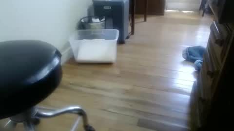 Snapshot of bitexan69 chatting on 09-30-25, 05:07 bitexan69 online show from 09-30-25, 05:07