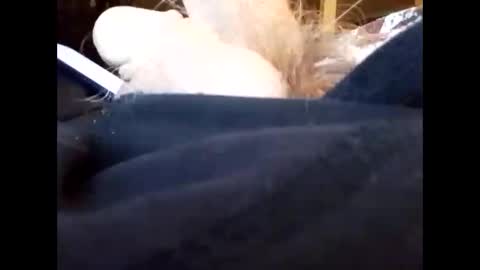 Snapshot of bjloversohard chatting on 01-04-25, 04:33 bjloversohard online show from 01-04-25, 04:33