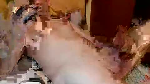 blagoy07 online show from 12-15-25, 11:09