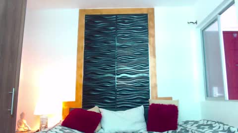 Snapshot of blakeadamss chatting on 01-02-25, 03:51 Just Blake online show from 01-02-25, 03:51