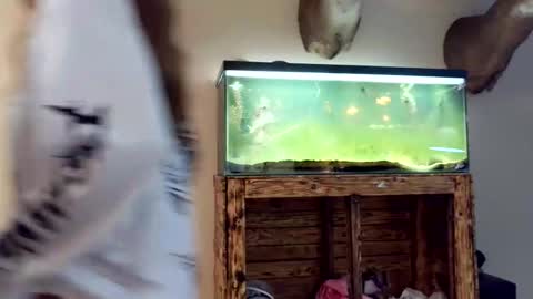 blasianangel444 online show from 04-17-26, 05:32