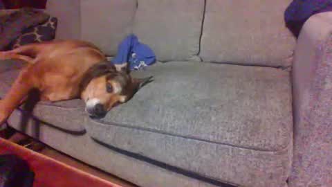 Snapshot of blaw_1321 chatting on 07-13-26, 12:46 blaw_1321 online show from 07-13-26, 12:46