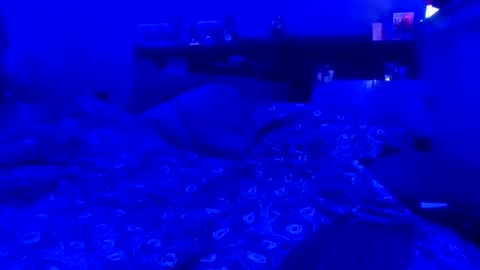 blaze2472 online show from 05-28-26, 02:36