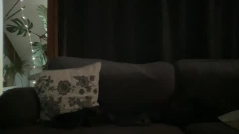 BlIdoL online show from 12-18-25, 09:04