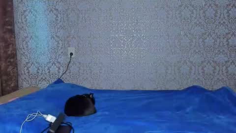 bloemetjes online show from 10-24-25, 05:04