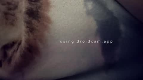 bluealpakka online show from 03-15-26, 04:40