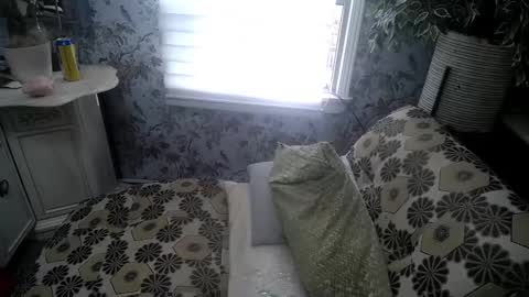 Snapshot of bobbyandsadie chatting on 11-22-25, 02:49 Bobby and Sadie online show from 11-22-25, 02:49