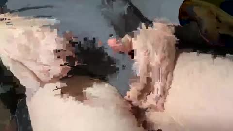 Snapshot of bobbyboobycummy chatting on 03-03-25, 01:53 Heath online show from 03-03-25, 01:53