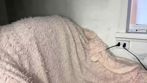 bohemia777 online show from 04-07-26, 01:33