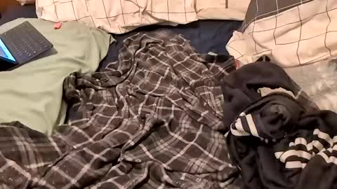 boiwithpussy online show from 02-16-25, 01:36