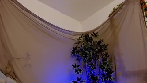 Snapshot of bonniecute_ chatting on 10-11-25, 11:47 online show from 10-11-25, 11:47