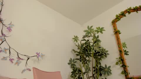 Snapshot of bonniecute_ chatting on 11-27-25, 11:51 online show from 11-27-25, 11:51