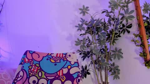 Snapshot of bonniecute_ chatting on 01-11-26, 11:54 online show from 01-11-26, 11:54