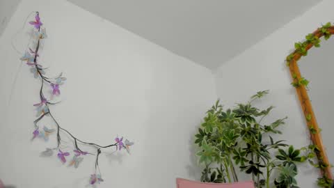 Snapshot of bonniecute_ chatting on 02-01-26, 12:53 online show from 02-01-26, 12:53