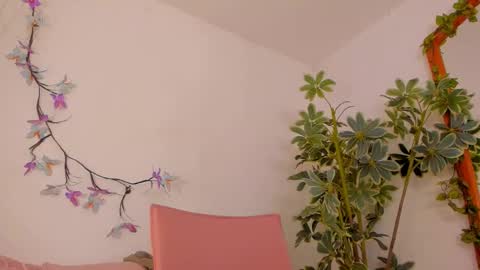Snapshot of bonniecute_ chatting on 02-26-26, 11:37 online show from 02-26-26, 11:37