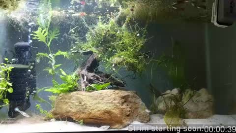 Snapshot of booker_baxton chatting on 12-07-24, 04:09 Booker Baxton online show from 12-07-24, 04:09