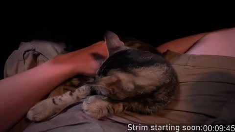 Snapshot of booker_baxton chatting on 09-28-25, 03:01 Booker Baxton online show from 09-28-25, 03:01