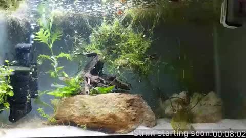 Snapshot of booker_baxton chatting on 11-12-25, 04:02 Booker Baxton online show from 11-12-25, 04:02