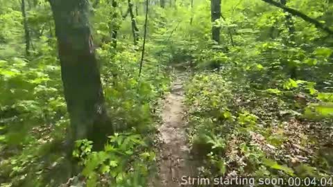 Snapshot of booker_baxton chatting on 11-29-25, 04:04 Booker Baxton online show from 11-29-25, 04:04