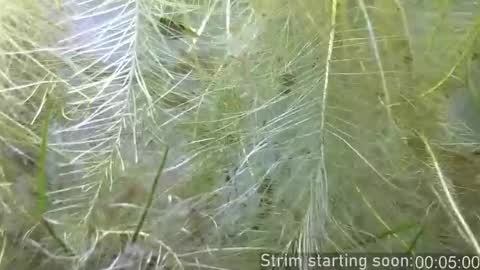 Booker Baxton online show from 02-11-26, 04:06